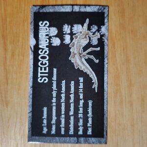 Stegosaurus Reptile Habitat Decor - Black